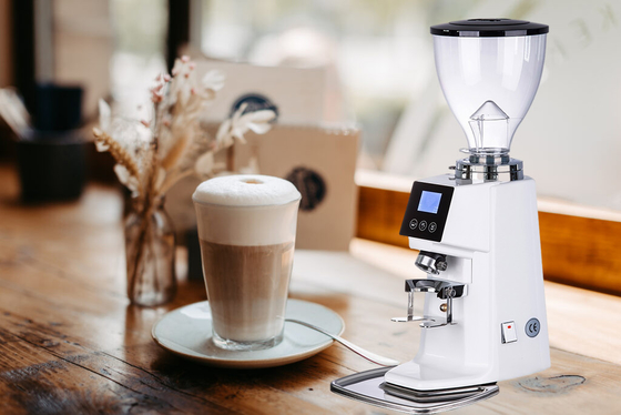 Commerciële doserloze koffiemolen roestvrij staal 370W door Beanglass 110V
